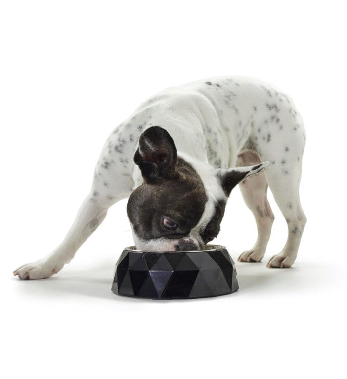 Kimberley Dog or cat bowl