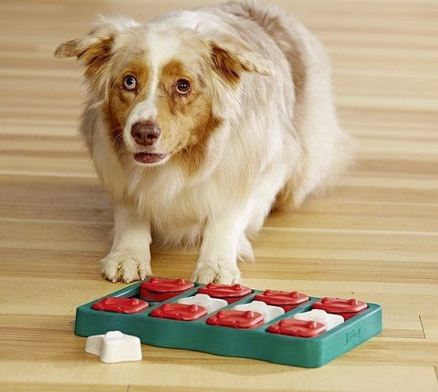Interaktywna gra dla psa NINA OTTOSSON DOG BRICK Level 2