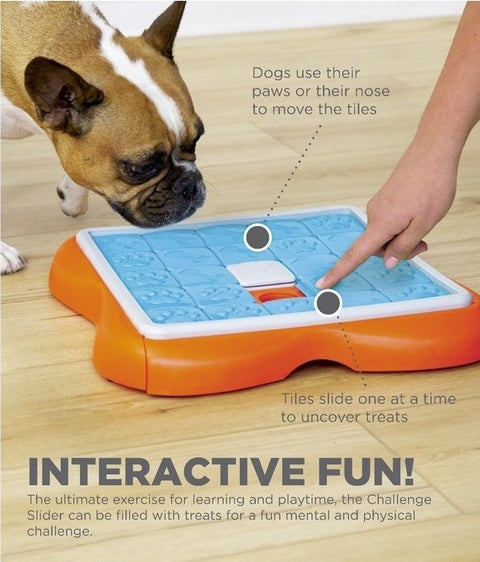 Interaktywna gra dla psa NINA OTTOSSON DOG CHALLENGE SLIDER Level 3