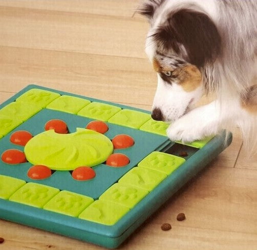 Gra Nina Ottosson Zabawka edukacyjna dla Psa Dog Multipuzzle