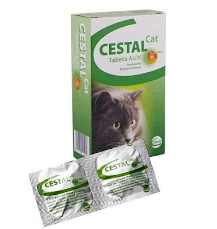 szt Cestal cat tabletka 564614