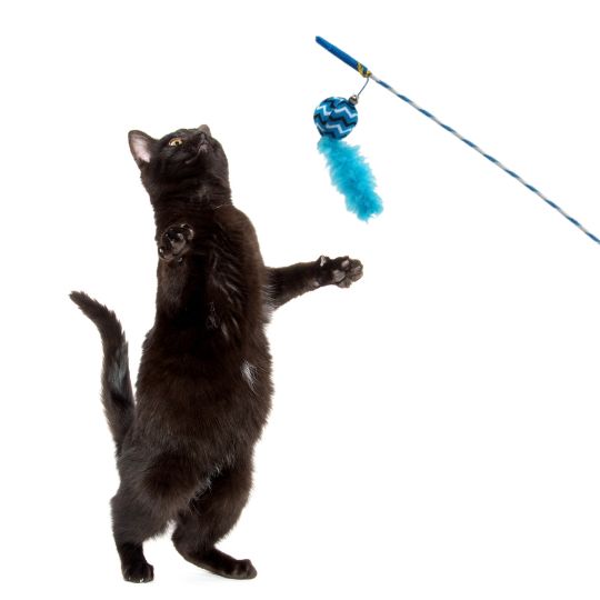 Magic Cat Zabawka dla kota  wędka piłka 17cm 45cm 24 szt