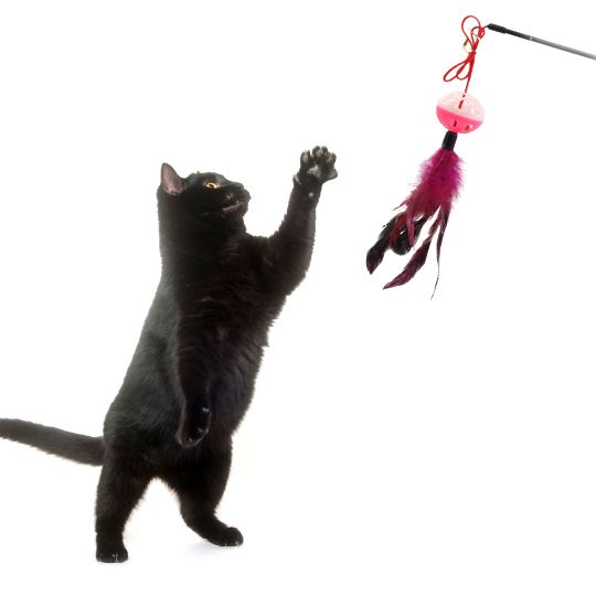 Magic Cat Zabawka dla kota wędka z piłka z piórkami