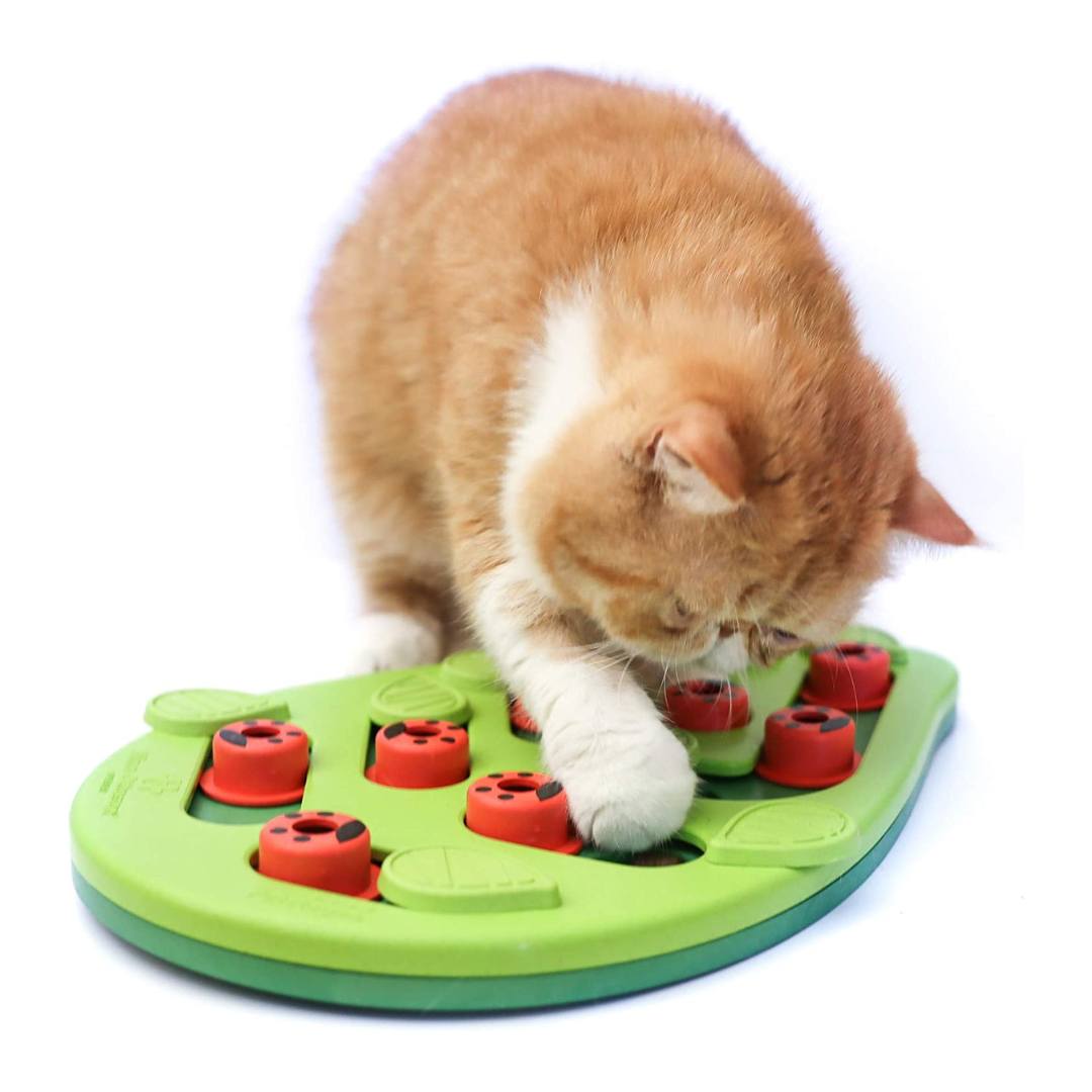 Gra Nina Ottosson Zabawka edukacyjna dla Kota Cat Puzzle Play Buggin Out